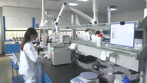 小區(qū)毗鄰食品廠，居民憂心互聯(lián)網(wǎng)食品銷售安全