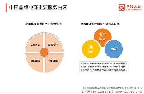 2023年中國(guó)品牌電商服務(wù)行業(yè)研究報(bào)告 信息咨詢服務(wù)引領(lǐng)新增長(zhǎng)